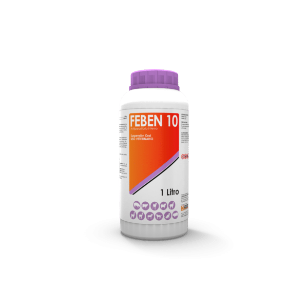 Feben 10