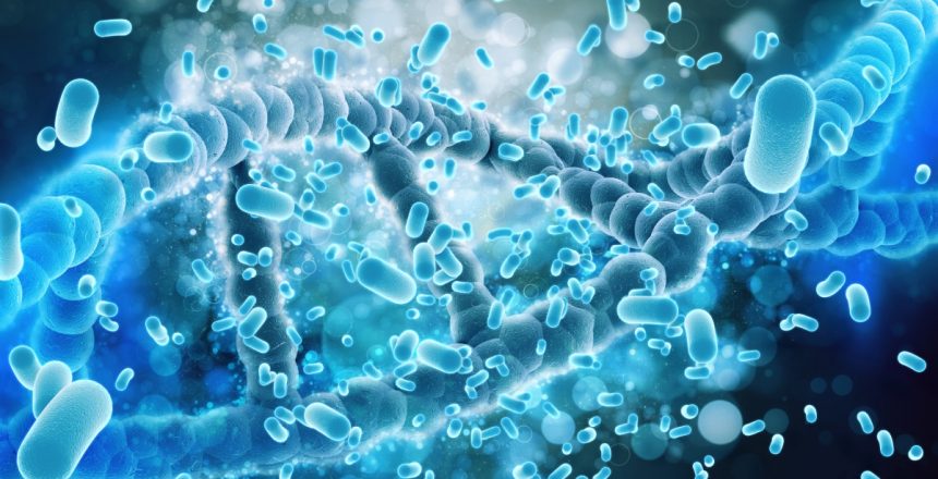 probioticos